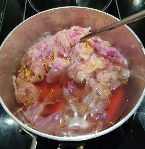 A pot of orange water container petals losing their red pigment